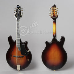 Gold Tone Rigel Mandolin Electric - Folkmusician